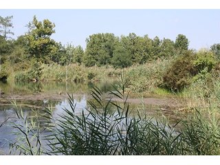 Property photo 73 - 419 +/- Acres offered in 6 Tracts, Land Auction